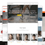 WEB SITE